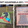 apanela-2.jpg