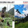 cocora.jpg