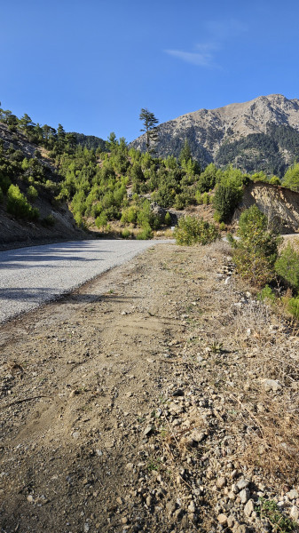 land_camroad1.jpg land_camroad1.jpg