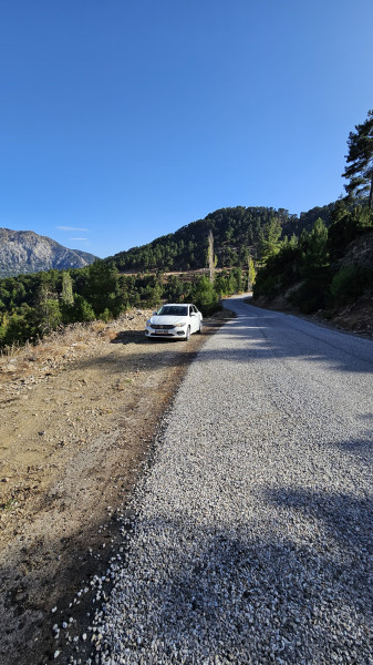 land_camroad2.jpg land_camroad2.jpg
