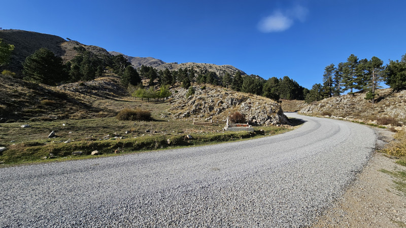 land_camroad2_2.jpg land_camroad2_2.jpg