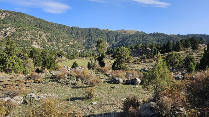 land_camroad3_1.jpg land_camroad3_1.jpg