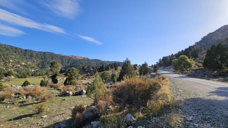 land_camroad3_2.jpg land_camroad3_2.jpg