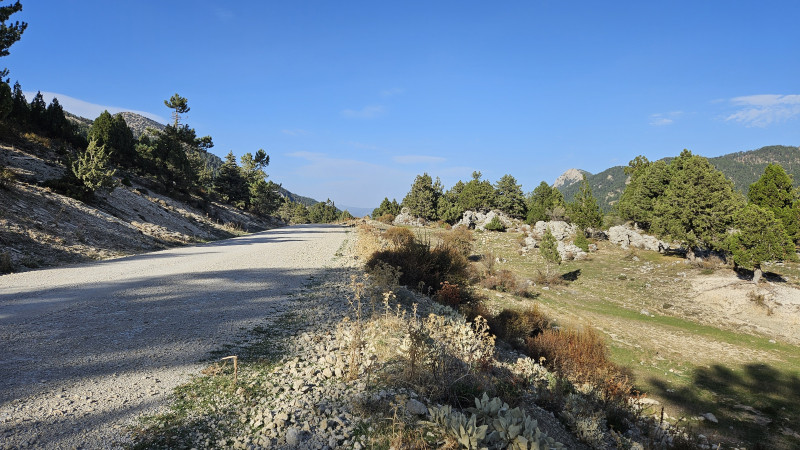 land_camroad3_3.jpg land_camroad3_3.jpg