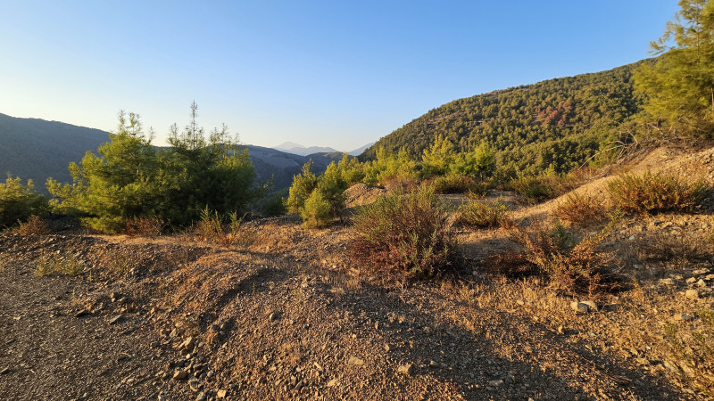 land_kadi1.jpg land_kadi1.jpg
