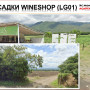 wineshop.jpg